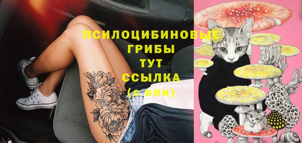 mix Переславль-Залесский