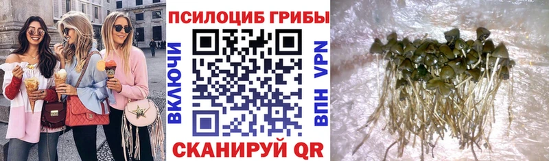 Галлюциногенные грибы ЛСД  mega маркетплейс  Бугуруслан 