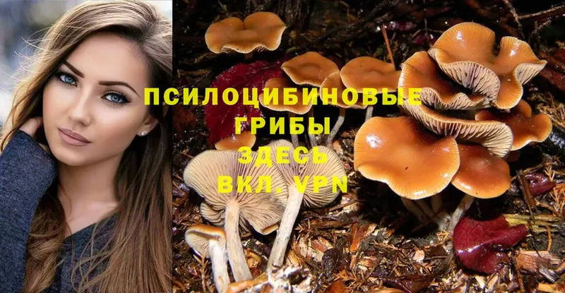 Псилоцибиновые грибы MAGIC MUSHROOMS  shop телеграм  Бугуруслан  купить наркотик 