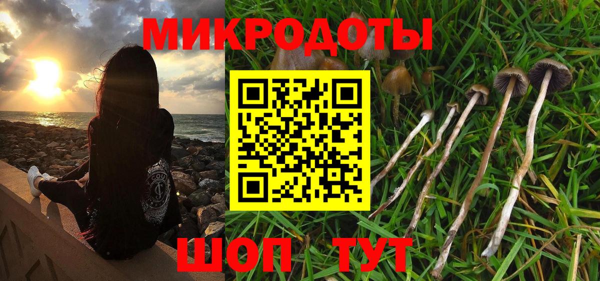 Псилоцибиновые грибы ЛСД Бугуруслан