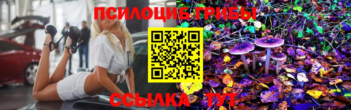 Псилоцибиновые грибы Cubensis  Бугуруслан 