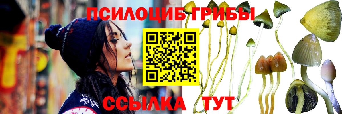 Галлюциногенные грибы GOLDEN TEACHER  Вход с VPN  Бугуруслан  Галлюциногенные грибы Magic Shrooms 